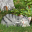 Estatua gato durmiendo decoración jardín patio