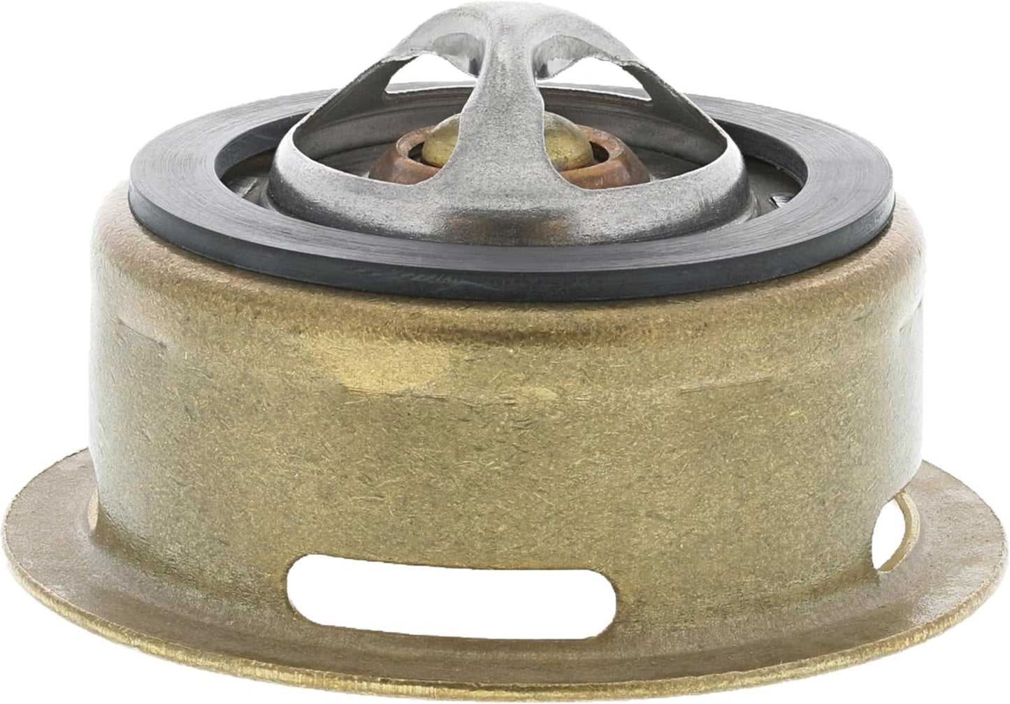 Stant Termostato de Acero Inox para Cocina