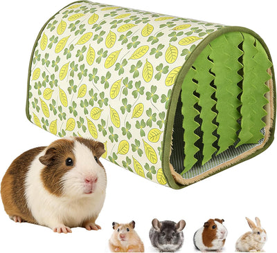 Túnel escondite hámster chinchilla conejo enano con cortinas verde