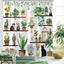 Cortina ducha 72x72pulg poliéster 12 ganchos