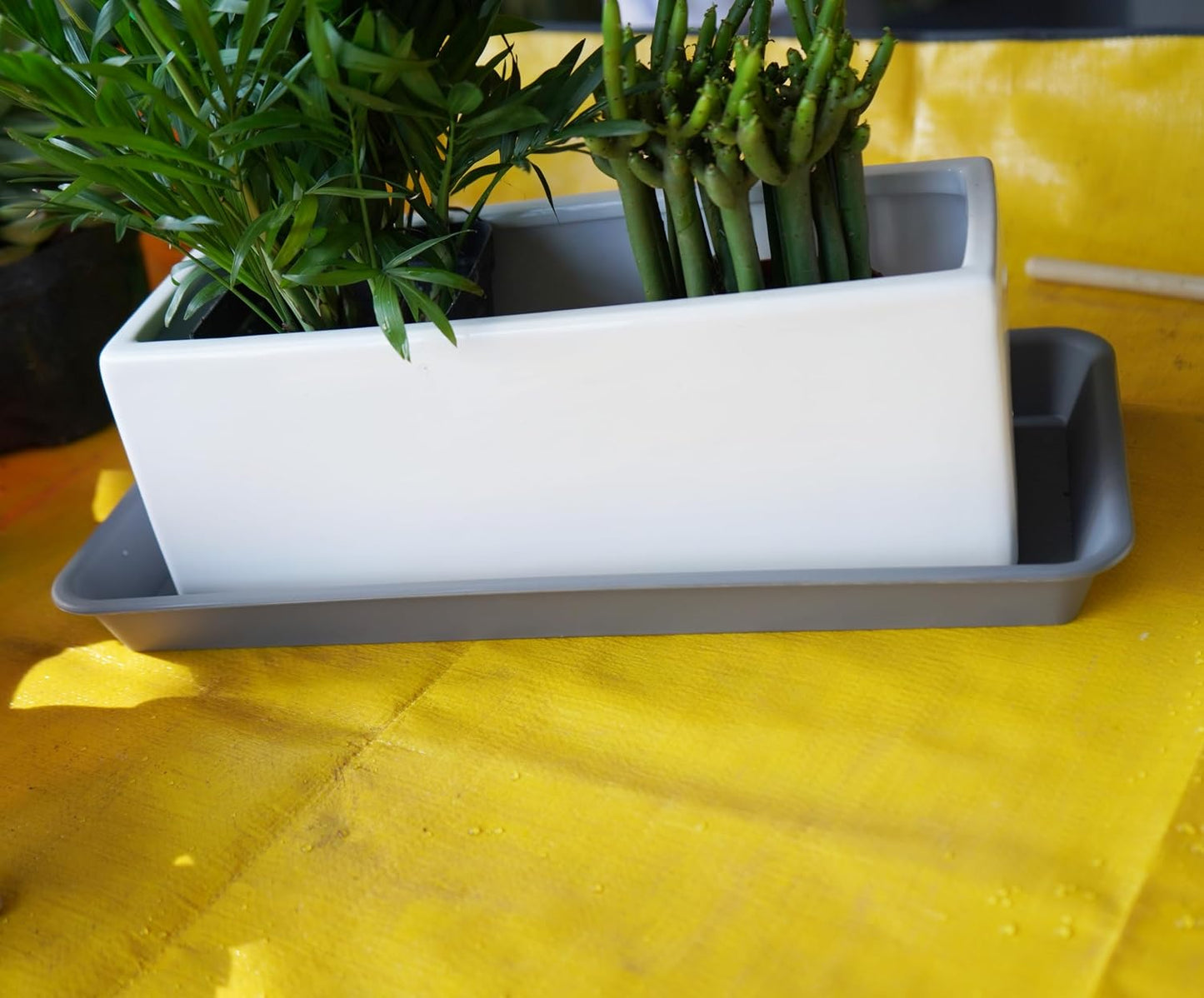 2 Pzas Bandejas Plástico Rectangulares para Macetas 30"