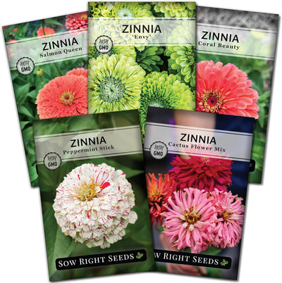 Semillas zinnia raras 5 paquetes envidia cactus