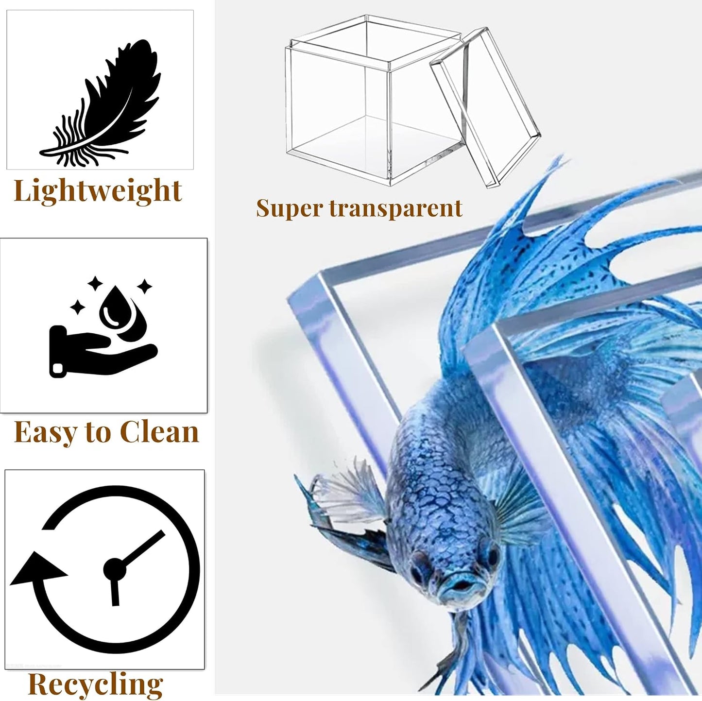 Caja acrílico 2 pzas cubos plástico transparente