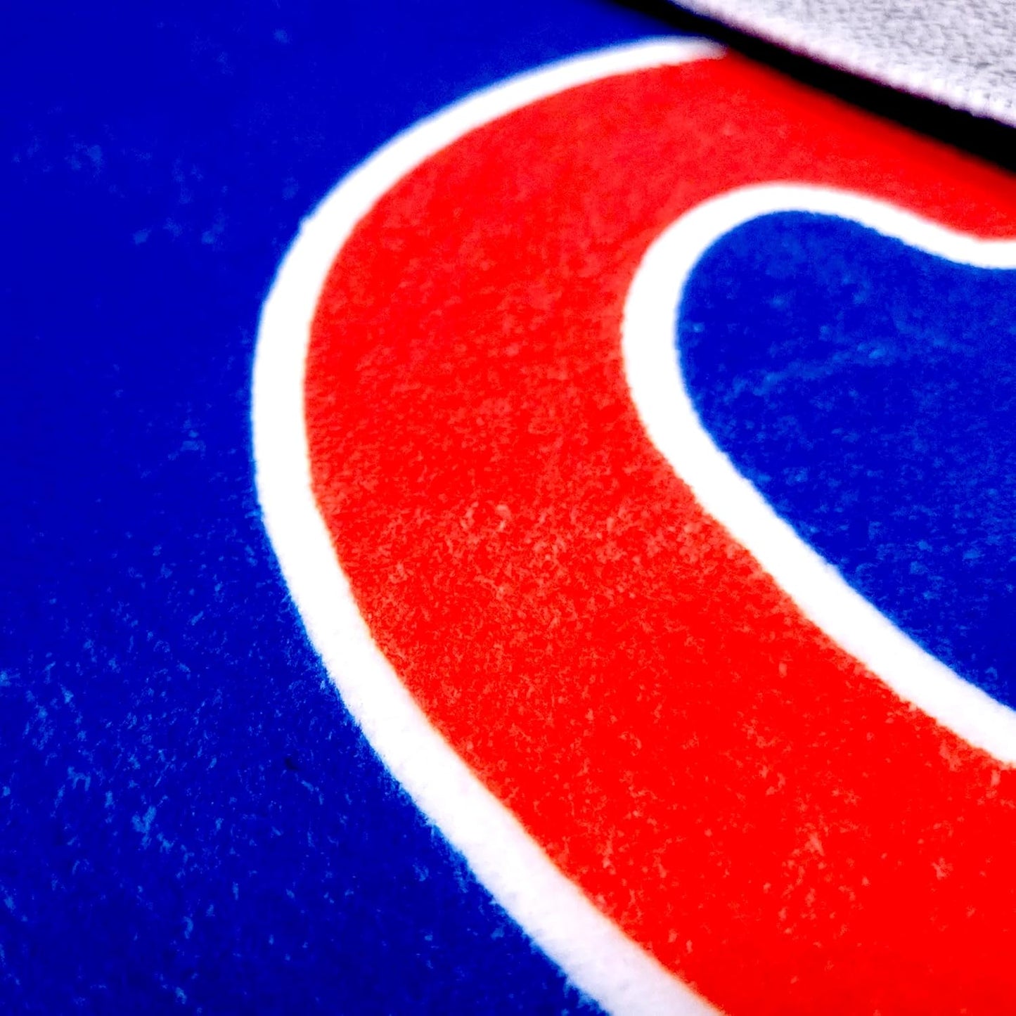 Alfombra decorativa Cougars 19x30" para fanáticos