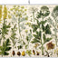 Tapete escurridor platos 18x24pulg botánico antiguo