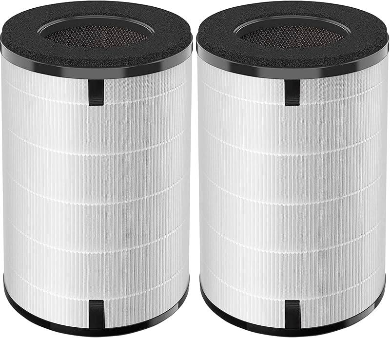 2 Filtro HEPA comp Homedics Total Clean 5en1 AP-T40 AP-T45