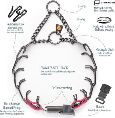 Collar perro acero inox negro hebilla cliclock anillo