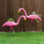 Estatua jardín flamenco rosa 25pulg set 12