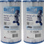 Cartucho filtro spa 35ft² 219 pliegues pack 2