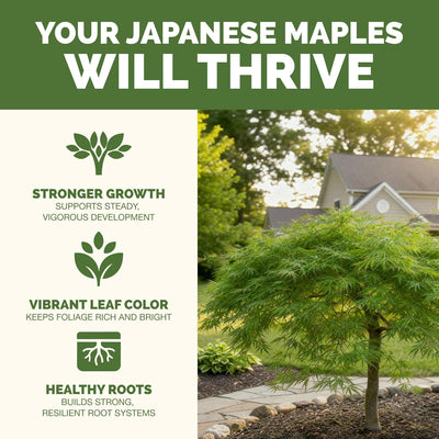 Fertilizante líquido arce japonés 32oz