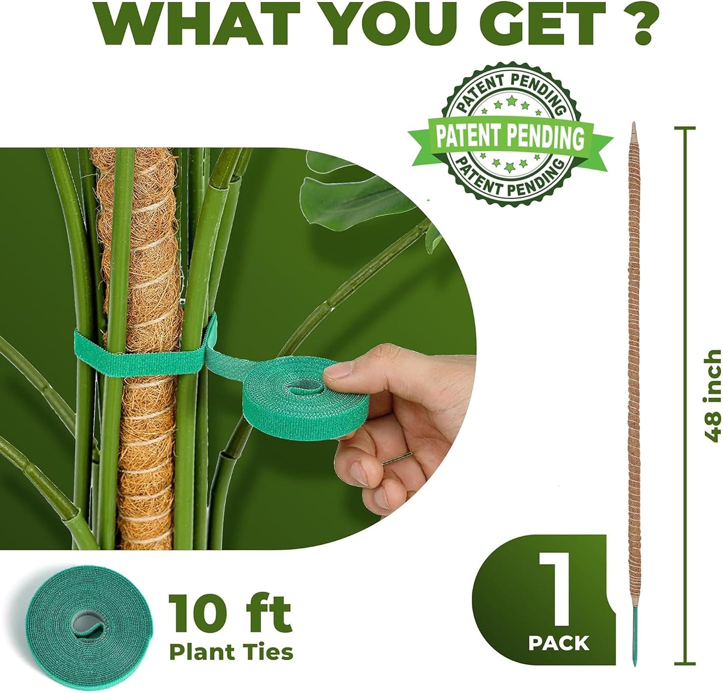 Poste musgo flexible 48pulg para soporte plantas trepadoras