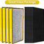 Pack 12 filtros HEPA y carbono comp Holmes Aer1