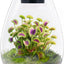 Terrario cristal con luz crecimiento para suculentas y plantas