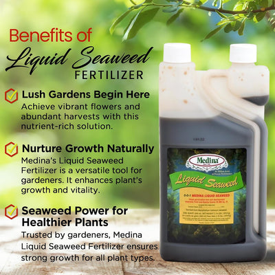 Fertilizante líquido de algas para plantas y césped 1qt