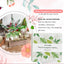 Soporte vidrio para plantas oficina decoración