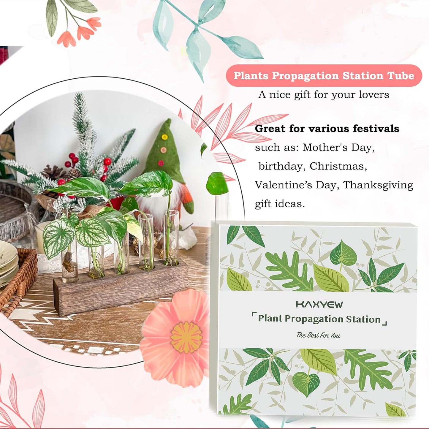 Soporte vidrio para plantas oficina decoración