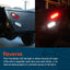 2 Pzas Luces traseras LED ovaladas 6" IP67