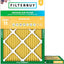 Filtro aire 18x25" MERV 11 para mascotas alergias set 2