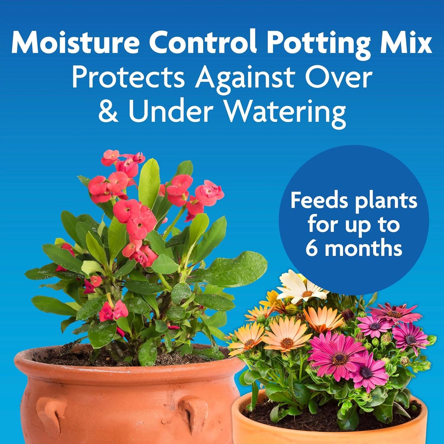 Tierra para macetas con control de humedad