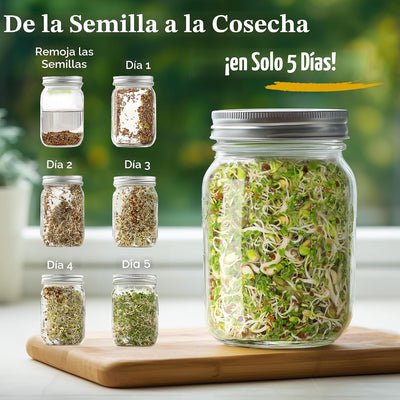 Mezcla microverduras orgánicas 8oz 32 porciones