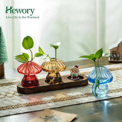 Soporte vidrio para hongos set 3 madera decoración