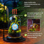 Cloche cristal base orificio aire terrario 5.9x5.9x8.2pulg