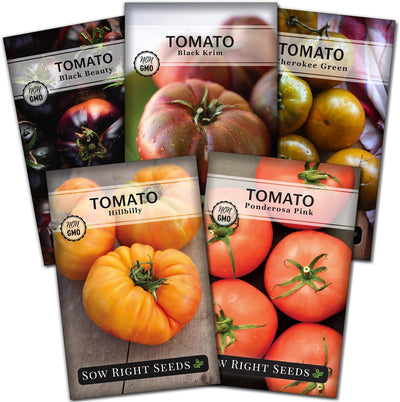 Semillas tomate autóctono colorido para plantar