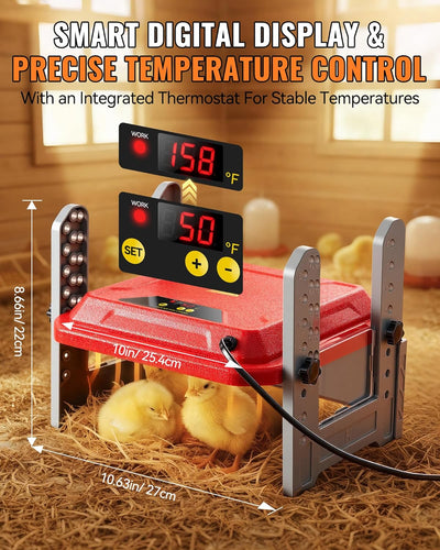 Plato criador pollos inteligente con pantalla LCD y calentador de 50 W