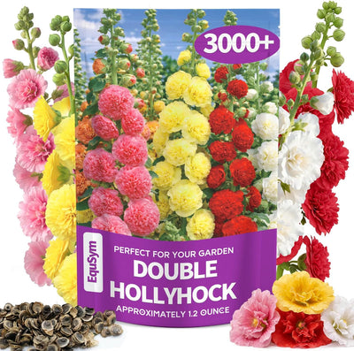 Semillas Hollyhock doble colores mixtos paquete grande