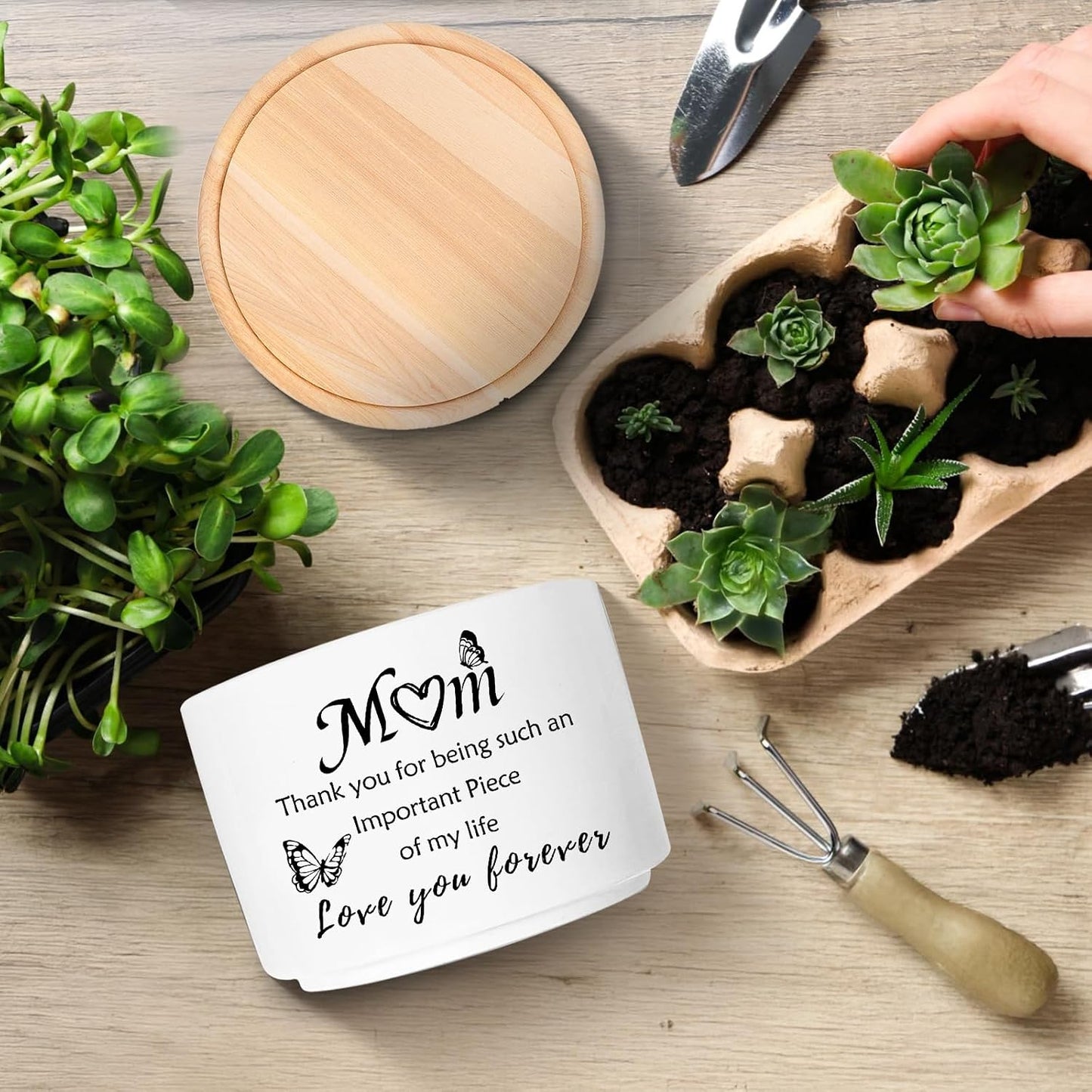 Maceta para suculentas y cactus regalo para mamá