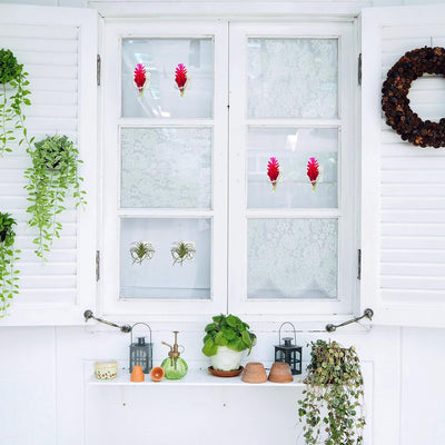 Soporte pared plantas tropicales 12 pzas acrílico decoración hogar