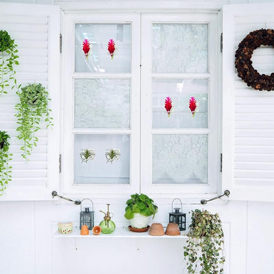 Soporte pared plantas tropicales 12 pzas acrílico decoración hogar