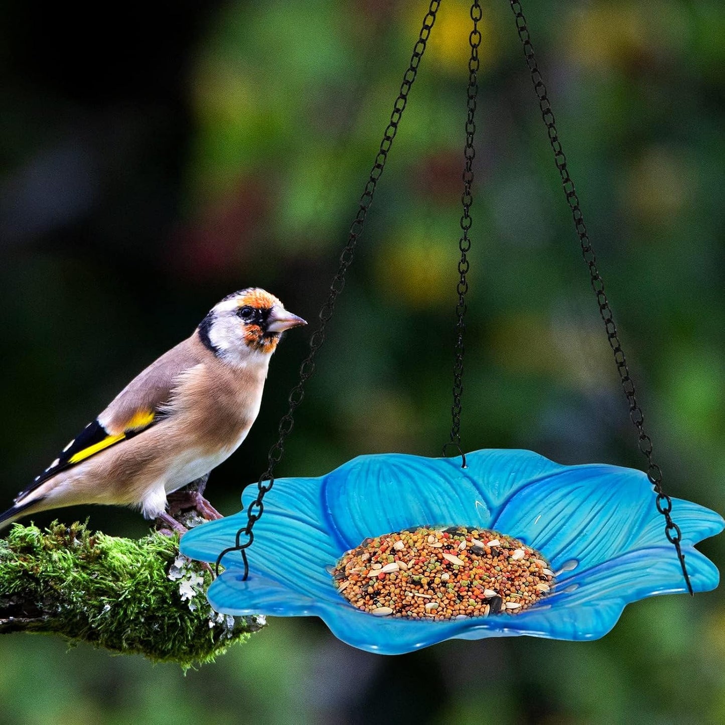 Baños pájaros exteriores vidrio azul 10" desmontable