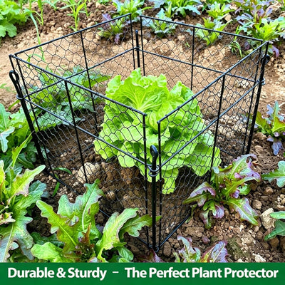 Protectores plantas al aire libre 13.8x13.8x12pulg alambre
