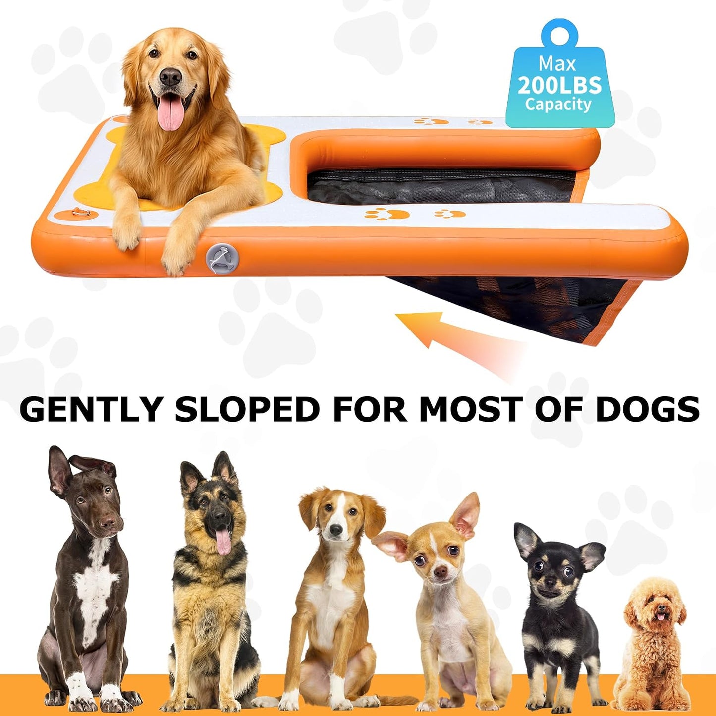 Rampa piscina perros hasta 200lb antiderrap con escalera