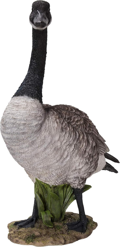 Estatua ganso Canadá gris/natural de regalo