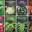 Semillas de verduras otoño e invierno 8 paquetes sin OMG
