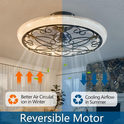 Ventilador techo enjaulado negro luces control remoto 6 vel