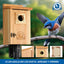 2 Casas Pájaros Cedro Exterior con Protector Cobre