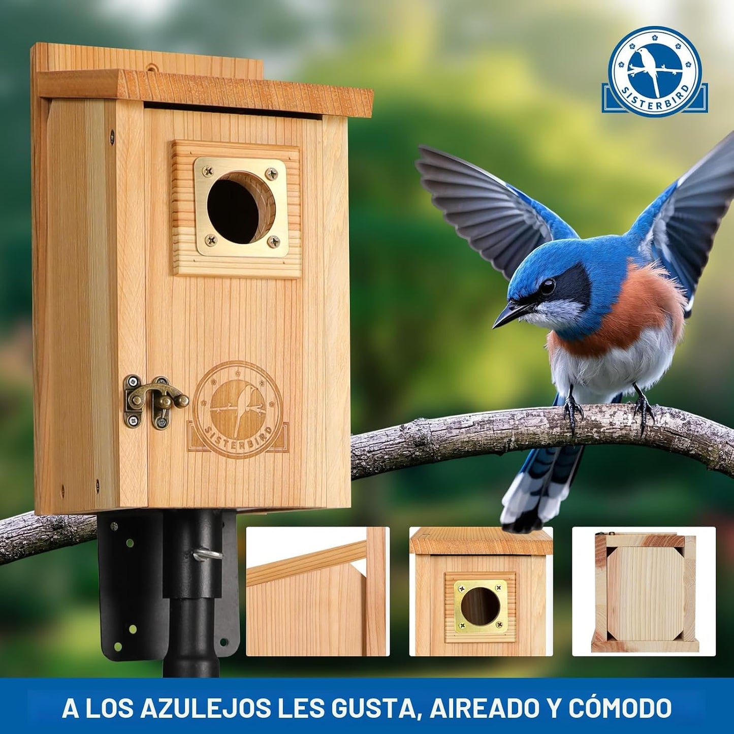 2 Casas Pájaros Cedro Exterior con Protector Cobre