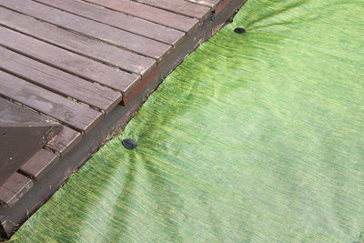 Paño mantillo control maleza hogar 3.3x32.8pies verde