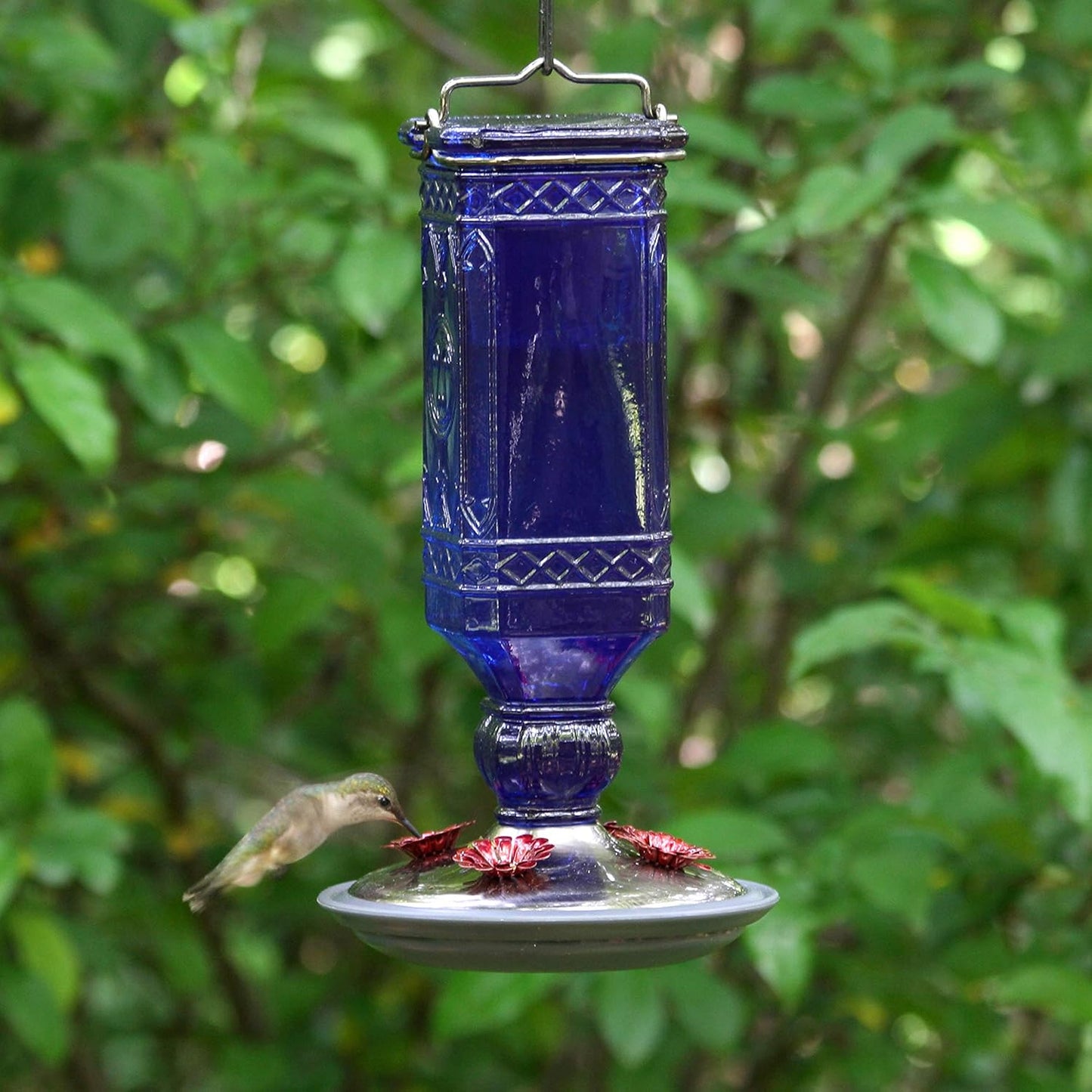 Botella antigua azul cobalto para colibríes 16oz