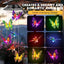 Campanillas viento solares mariposa regalo mujer