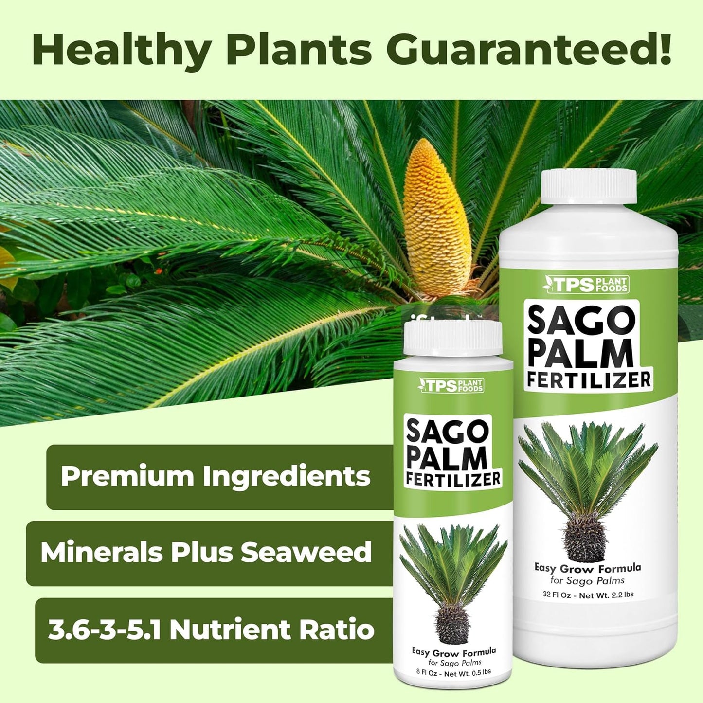 Fertilizante palma sagú alimento vegetal líquido 8oz