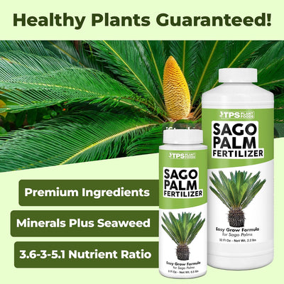 Fertilizante palma sagú líquido para frutas verdes 32oz