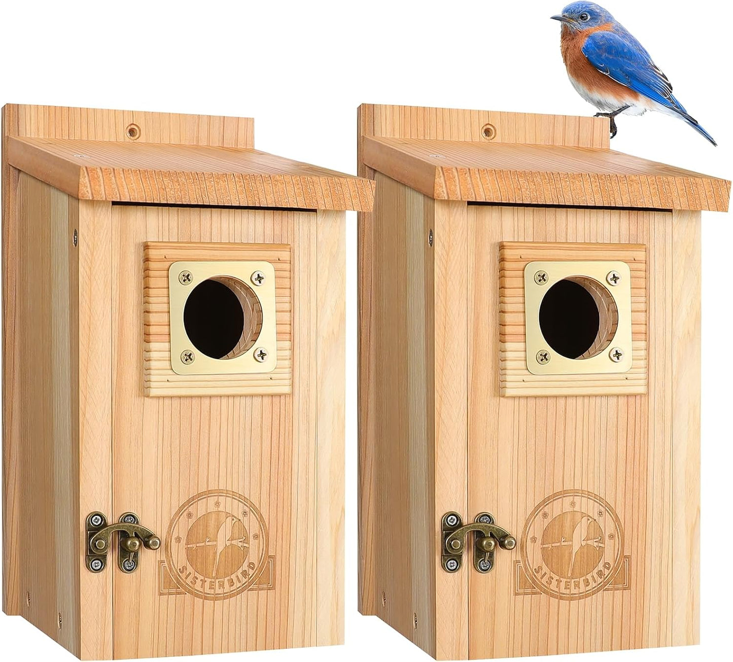 2 Casas Pájaros Cedro Exterior con Protector Cobre