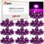 100 Luces Moradas LED 3/4" 12V para Barco Camión