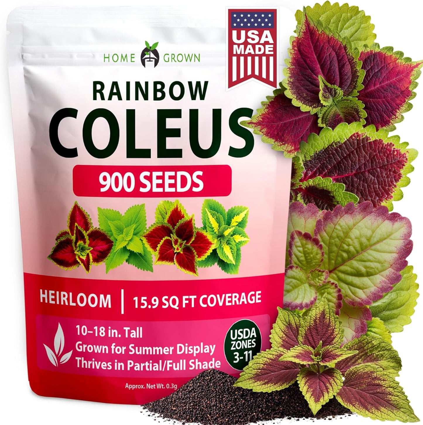 Semillas Coleus Rainbow 900uds para jardín interior y exterior