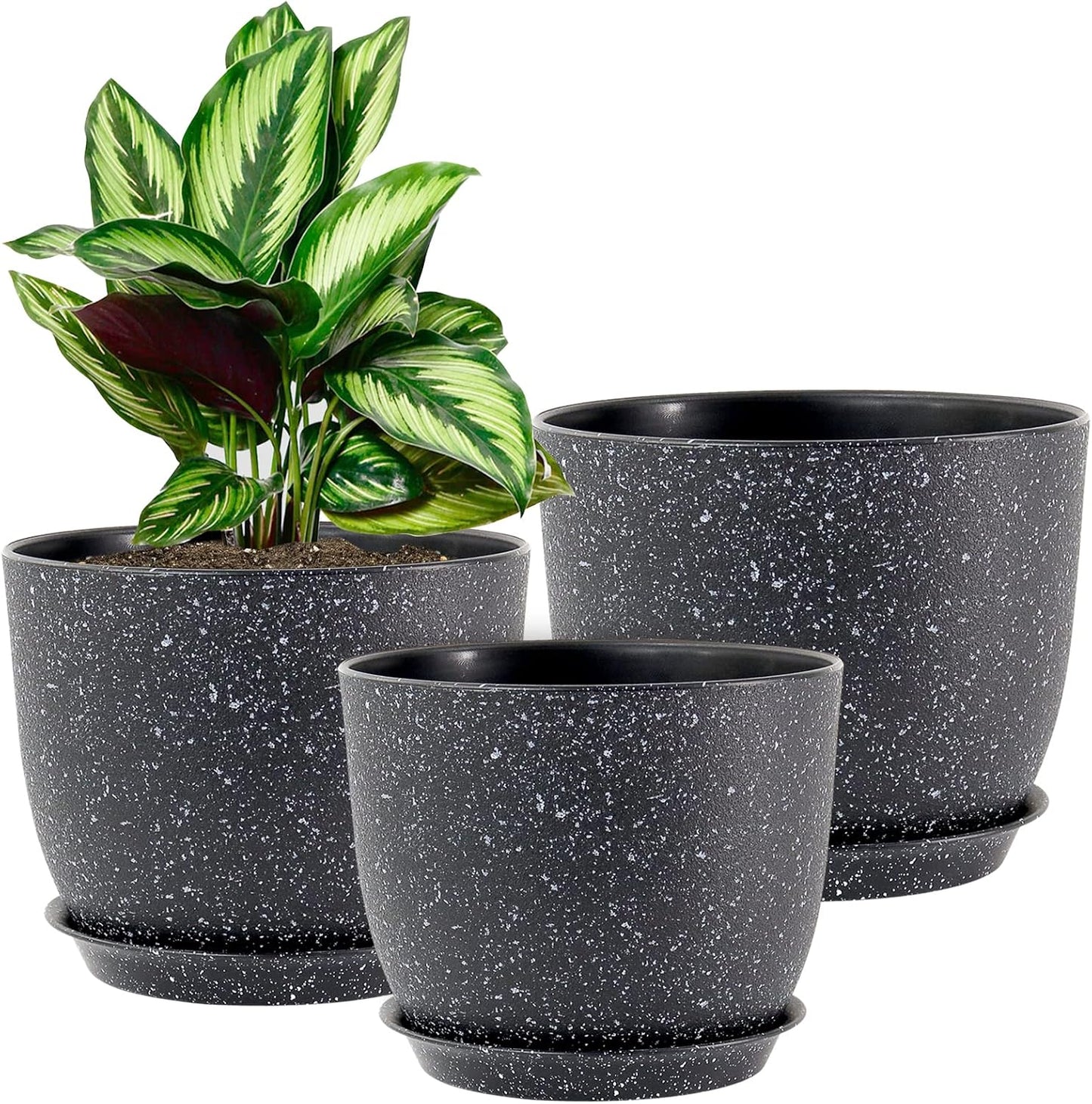 Set 3 Macetas Plástico Negro con Motas Blancas