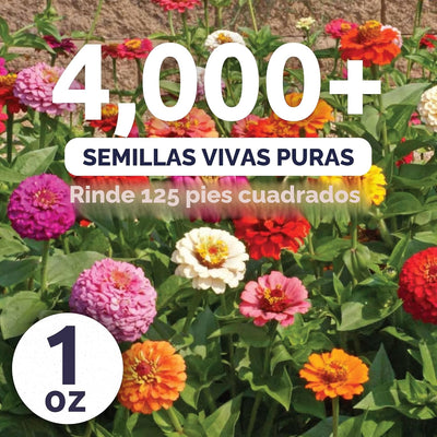Paquete 1oz 4000 semillas Zinnia elegans